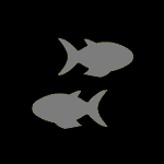 Due pesci che nuotano in acque sporche